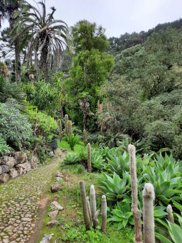 Prachtige tuin bij Paleis van Monserrate